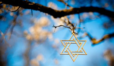 ‘De joden met hun ster’. Joodse reacties