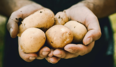 Landbouwpastoraat: over het belang van aandacht voor agrariërs